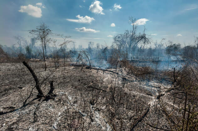 slash & burn, off R8 near Andriamena, Toliara, Menabe, MG - Nov 2010 © paulgodard.com slash & burn