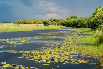 landscape | king's pool under rain clouds | Liuwa Plain NP, Northwest, ZM - Nov 2012 © paulgodard.com landscape | king's pool under rain clouds