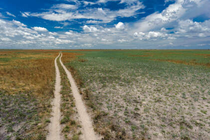 landscape | track through plain | Liuwa Plain NP, Northwest, ZM - Nov 2012 © paulgodard.com landscape | track through plain