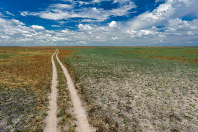 landscape | track through plain | Liuwa Plain NP, Northwest, ZM - Nov 2012 © paulgodard.com landscape | track through plain