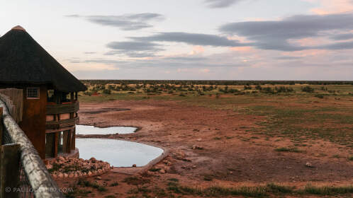 waterhole mirador