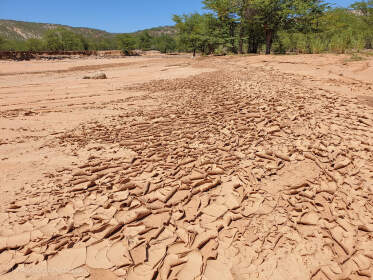 dry mud cracking in riverbed