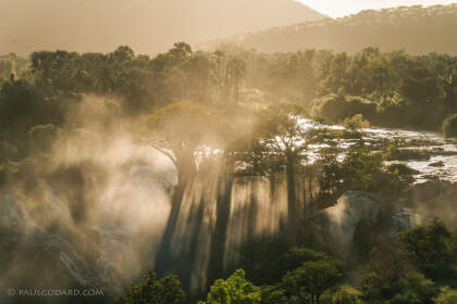 baobabs near waterfalls with mist at sunrise