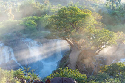 baobabs near waterfalls with mist at sunrise