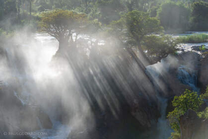 baobabs near waterfalls with mist at sunrise
