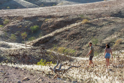 James & Naomi walking through white grass on rocky hills at sunset