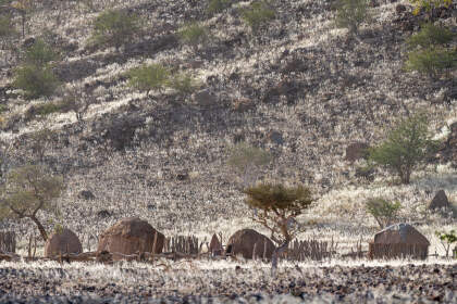 Himba huts in white grass on rocky hills at sunset