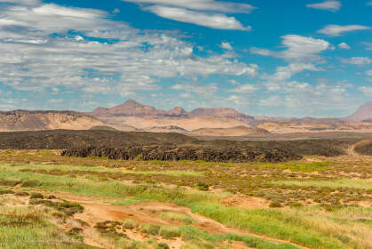 green valley in arid landscape