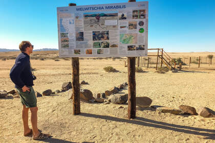 Julien reading welwitschia sign board
