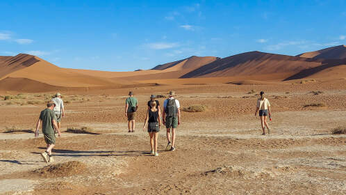 Jojo, Julien, Manon, Marc, Mathou, Paul & Simon walking in vlei