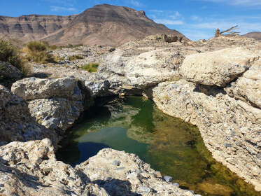 rock pool