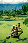 Old man & boy on shikara on river covered by lentils & white clouds