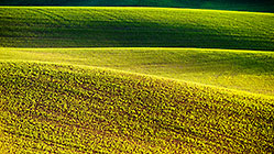 Green Slopes
