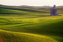 Farm Land