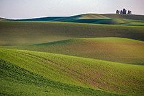 Green Hills