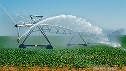 Automatic water & fertilizer spraying machine for circular fields