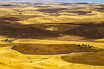 Mosaic of wheat fields & hills