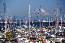 Sailing boats parked in port in front of mt Rainier