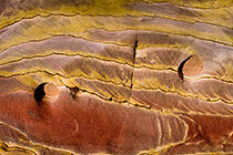Tiger Rock