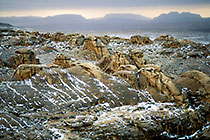 Petra crazy + landy(L) on road w snow + Petra city sign board