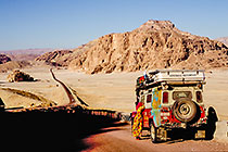 girl looking through window landy (RL) + Gazella valley