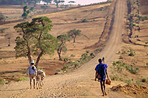 men (one with blue hat) & donkeys walking on piste