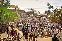 people gathering at market place