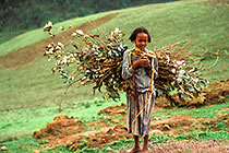 little girl with wood & mushrooms