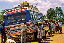 women selling banana near bus