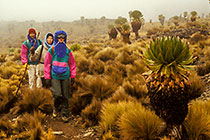 Petra, Bart & Kaatje walking through seneson & grass tuff in mist