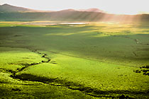 Ngorongoro