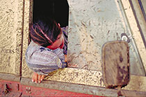 Petra sleeping in landy behind window