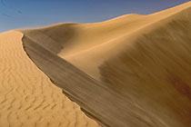 sand dunes