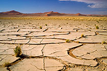 Dry & Hot