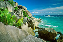 palm trees + granite rocks + sea + waves on reef + sea + clouds