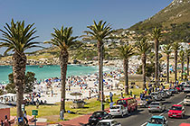 traffic & palm trees along beach road + people on beach & sea