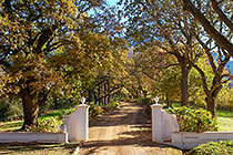 Lourensford entrance gate to homestead