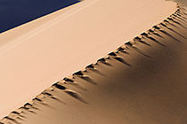 Zipper