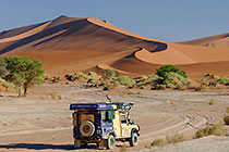 landy & dunes