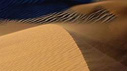Visions of Pharaoh