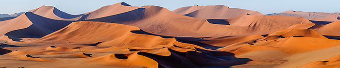 Wind Cathedral