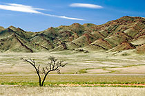 tree + grass + dunes + clouds