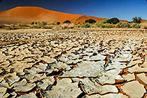vlei + dune + cracked sand + green shrub