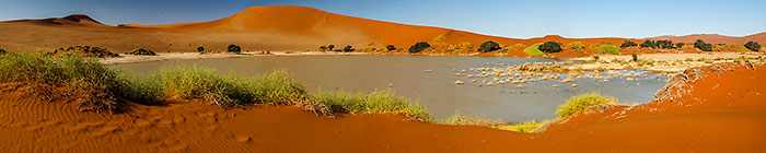 vlei with water + green shrub + dune