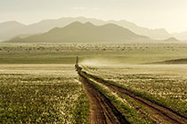 No Destination