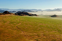dunes + grass + track