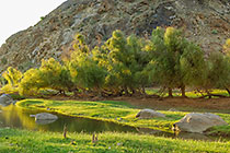 landscape with river & mountain