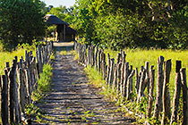 wooden bridge
