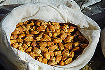 dates in bag