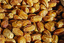 dates close-up